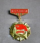 韶關供電局優(yōu)秀共青團干部功勛章,勛功章