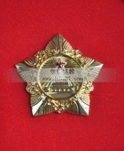 金質模范獎章,金質模范勛章,五角勛章,五角獎章,鍍金獎章勛章 金質模范獎章,金質模范勛章,五角勛章,五角獎章,鍍金獎章勛章
